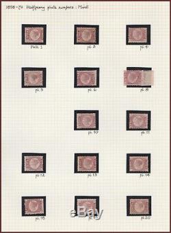 1870 SG48 1/2d ROSE RED UNUSED SET PLATE COLLECTION ON ALBUM PAGE (NO PLATE 9)