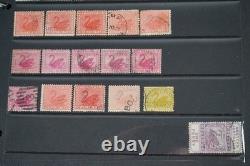 Australia Collection Of 2,250+ Stamps Mint & Used Stored In Album On Stock Pages