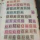 Belgium Stamp Collection In Binder. Lots Of Pages And Stamps. High Cv! 1800s +
