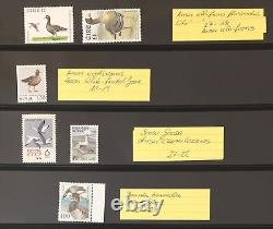 Birds World MNH Lindner Album Collection (Apx 350+Items) GM2584