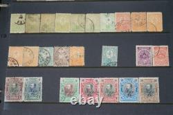 Bulgaria Collection Of 2000+ Stamps Mint & Used Stored In Album On Stock Pages
