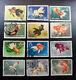 China Collection Stamps S38 1960 Goldfish Old Stamp Guangxi Big Stamp In Stock