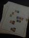Edw1949sell France & Offices Mint & Used Collection On Album Pages. High Cat