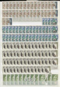 France Accumulation MNH CV$18400.00 1960-1999 Wholesale In 4 Albums