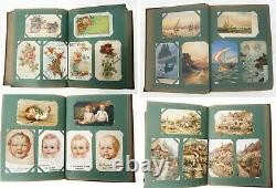 Great 1906 pre-WWI 282 x Postcards Full Album Street Stamps Love Animal American