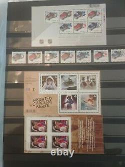 Incredible Canada Stamp Collection In Stockpage Album, Sports. History. Show Biz