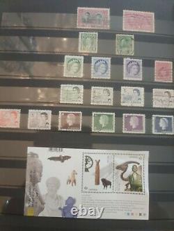 Incredible Canada Stamp Collection In Stockpage Album, Sports. History. Show Biz