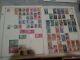 Italy Stamp Collection. Magnificent. Enormous Amount Of Stamps And Pages