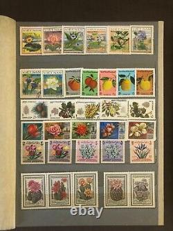 Large vintage stamp collection album (there are also without stamp)