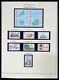 Lot 38341 Mnh Stamp Collection Micronesia 1983-2016 In 3 Scott Albums
