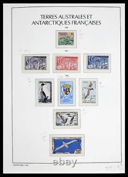 Lot 39371 Stamp collection TAAF 1948-1999 in Leuchtturm album