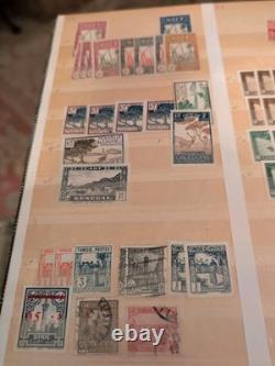 Magnificent Worldwide Stamp Collection In Vintage German Album/Stockbook. HCV