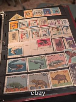 Mammoth World Wide Stamp Collection In Handsome Album. High Value And TopQuality