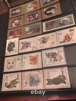Mammoth World Wide Stamp Collection In Handsome Album. High Value And TopQuality