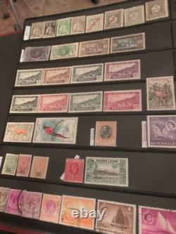 Mammoth World Wide Stamp Collection In Handsome Album. High Value And TopQuality