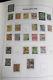 Netherland Colonies 95% Mint Stamp Collection In Davo Album