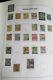 Netherland Colonies 95% Mint Stamp Collection In Davo Album