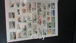 People Republic collection in album MNH stamps most in full sets