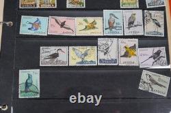 Portugal Colonies Collection Of 850+ Stamps Mint & Used In Album On Stock Pages
