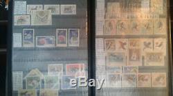 Romanian stamp lot collection 700+ Romania stamps in Lighthouse Album