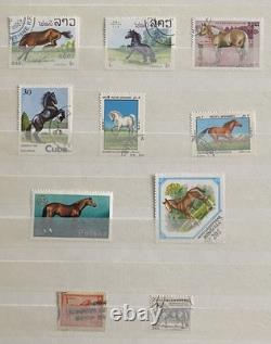 Stamp Collection (253 Worldwide Stamps)