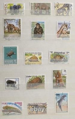 Stamp Collection (253 Worldwide Stamps)