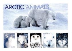 Stamp Collection with Album