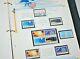 U. S. Commemorative Stamp Album Collection-1980-1986-over 630 All Mint Stamps