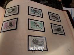 Vintage Austria Stamp Collection 1800s Fwd. Look At Some Of What You Will Receive