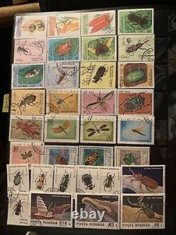 Worldwide stamps collections lots in album mint & used animals cars insects