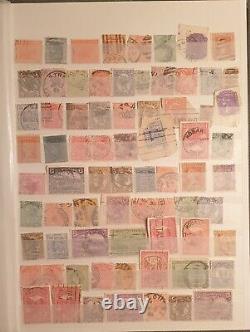Accumulation dans l'album de toutes les timbres des États australiens et des colonies