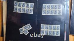 Accumulation de timbres Nh de la Monnaie de Russie en bloc ou individuel, Pologne aussi. Hcv ! Voir les photos