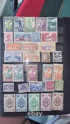 Album de collection de timbres trié par pays entre 500 et 700 pièces