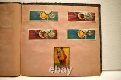 Album de timbres du monde vintage 30 pages 325 timbres collection thématique animaux art Fl