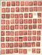 Collection De 79 Penny Red Stamps Vieux Album Page Cut & Perf Hinged