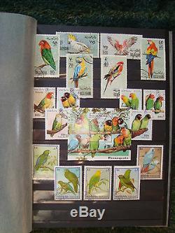 Collection De Timbres De Worlwide Album Birds De 1961