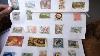 Collection De Timbres Indiens Anciens, Partie 1