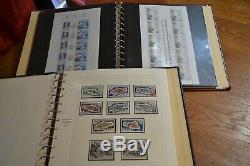 Collection Taaf Album Safe 1948/1999 Complet Neufs + Album De Feuilles