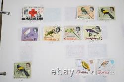 Collection britannique d'Afrique de plus de 1 900 timbres neufs et usagés stockés dans un album