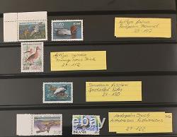 Collection d'albums Lindner MNH Birds World (env. 350+ articles) GM2584