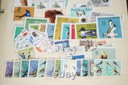 Collection de Pologne de plus de 4500 timbres neufs et utilisés stockés dans un album sur des pages de stock