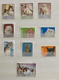 Collection de timbres (253 timbres du monde entier)