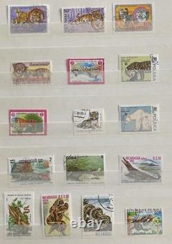 Collection de timbres (253 timbres du monde entier)
