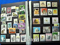 Collection de timbres Chats du Monde Races Félines Chiens Album thématique 800+ MNH