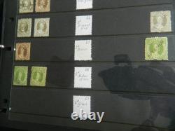 Collection de timbres du Queensland et timbres usagés sur pages Hagner dans un grand album