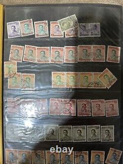 Collection de timbres du monde vintage 1950/3 albums + 2500 timbres supplémentaires