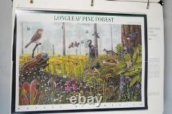 Collection de timbres neufs de 350+ de 2002 à 2004 aux États-Unis, stockée dans un album White Ace, valeur faciale 400+.