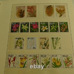 Collection de timbres sur le thème des orchidées dans l'album Lindner NIB