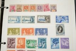 Collection du Commonwealth Britannique de plus de 1 900 timbres neufs et usagés dans un album