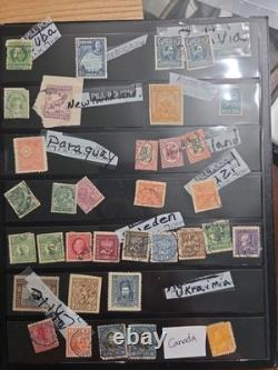 Collection mondiale de timbres vintage, 2 albums, 1 163 timbres Mudor et Paragon
